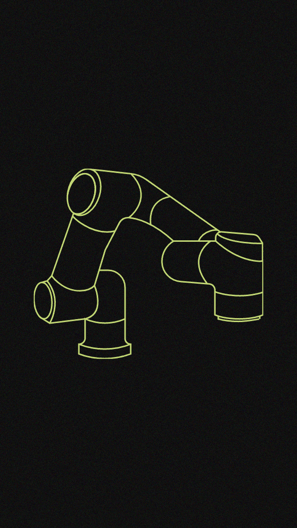 Three caladiums on different height platforms